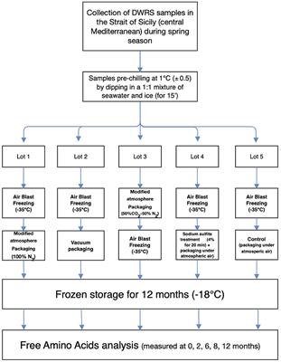 Effect of different packaging methods on the free amino acid profiles of the deep-water rose shrimp (Parapenaeus longirostris) during frozen storage